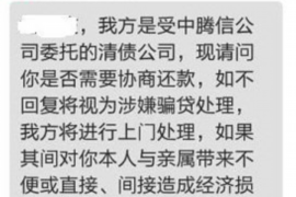 阜阳阜阳的要账公司在催收过程中的策略和技巧有哪些？